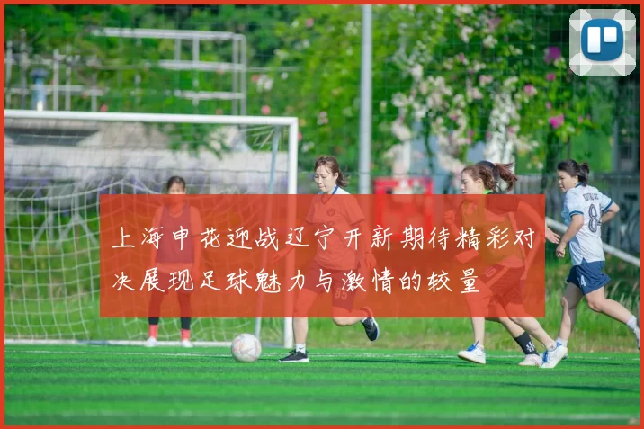 上海申花迎战辽宁开新期待精彩对决展现足球魅力与激情的较量