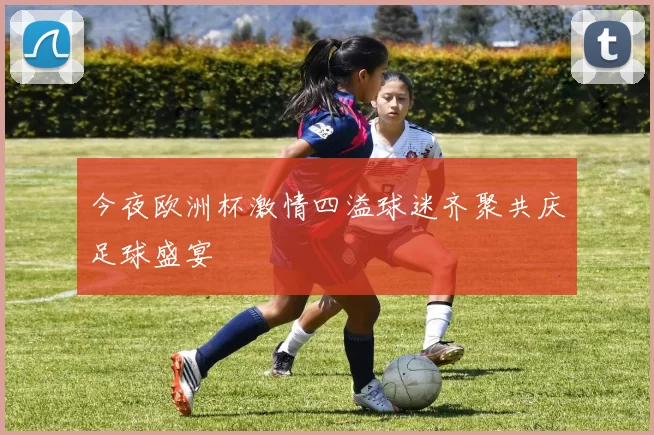 今夜欧洲杯激情四溢球迷齐聚共庆足球盛宴