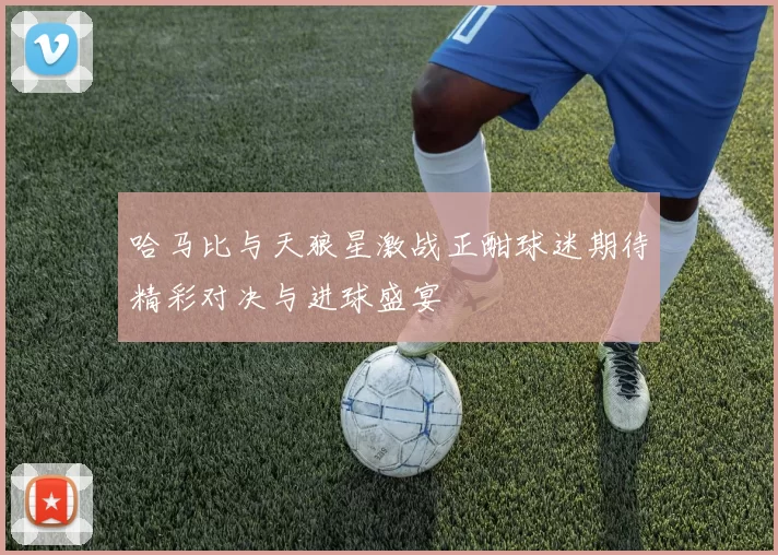 哈马比与天狼星激战正酣球迷期待精彩对决与进球盛宴