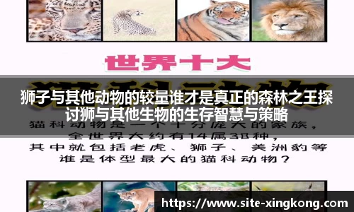 狮子与其他动物的较量谁才是真正的森林之王探讨狮与其他生物的生存智慧与策略